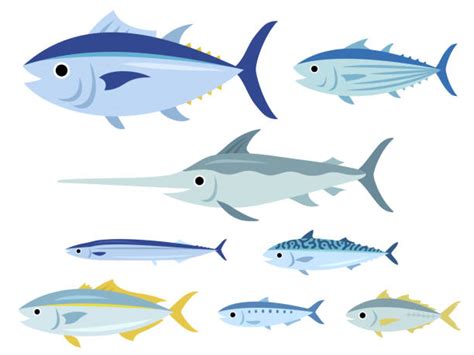 62,400+ Fish Clipart Stock Illustrations, Royalty.